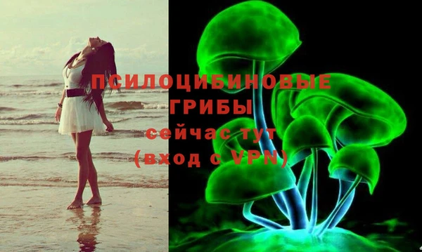 спайс Беломорск